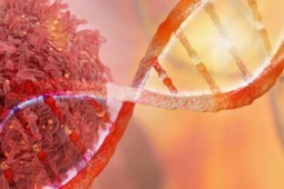 Medical Cannabis in Treating Cancer Symptoms